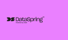 DataSpring Logo on Violet