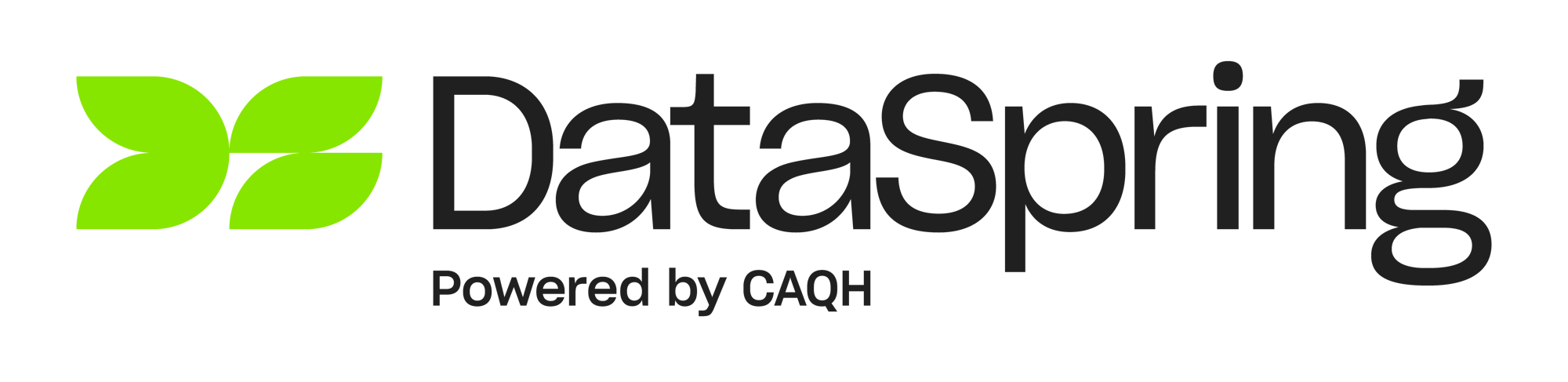 DataSpring-Logo-RGB-ColorBlack (1)