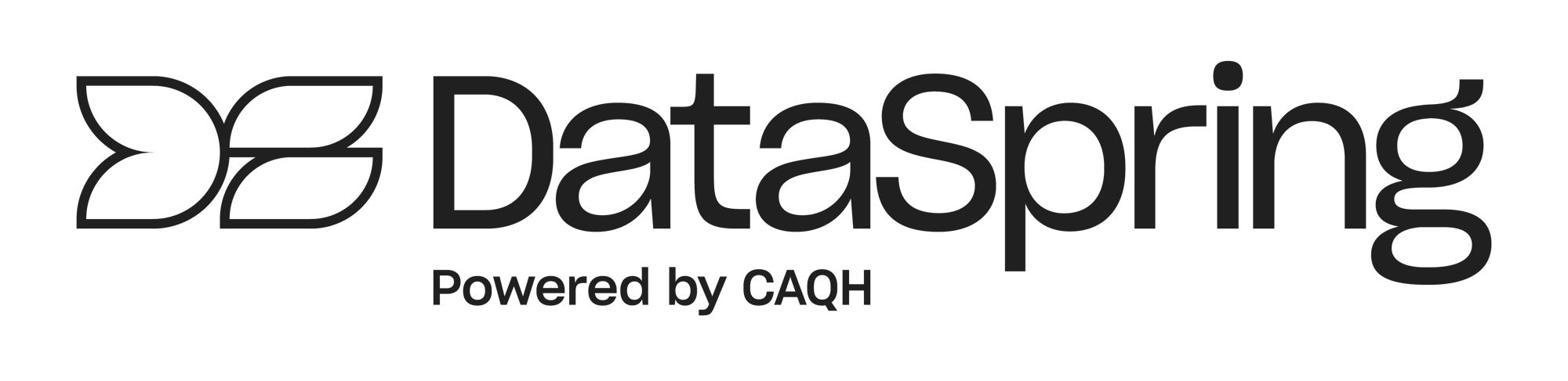 DataSpring-Logo-RGB-OutlineBlack DataSpring-Logo-RGB-OutlineBlack