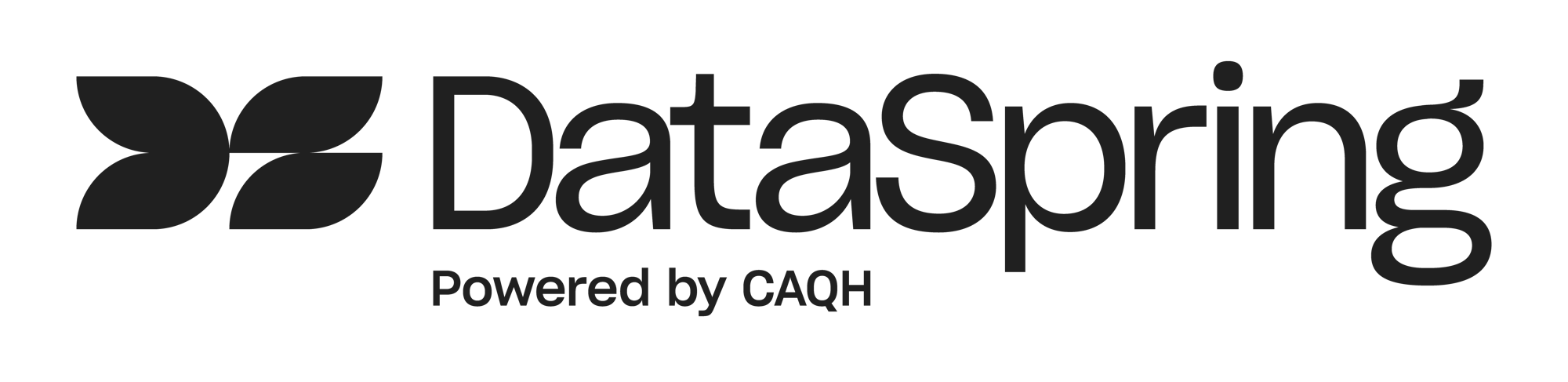 DataSpring-Logo-RGB-Primary (1)