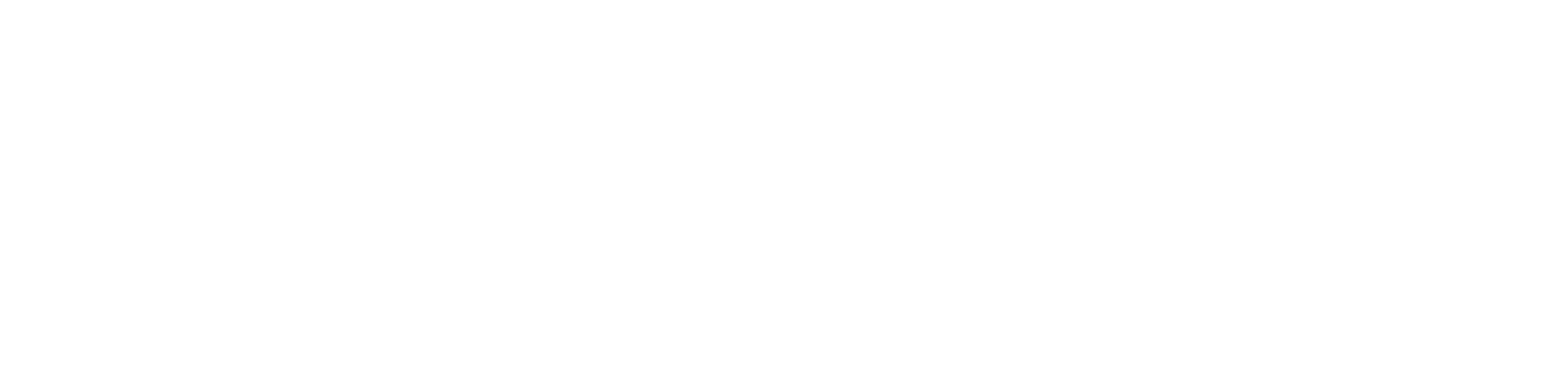 DataSpring-Logo-RGB-White (1)