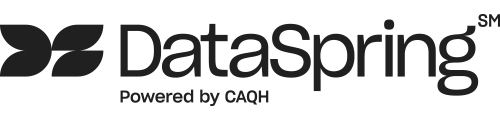 DataSpring Black Logo - Email