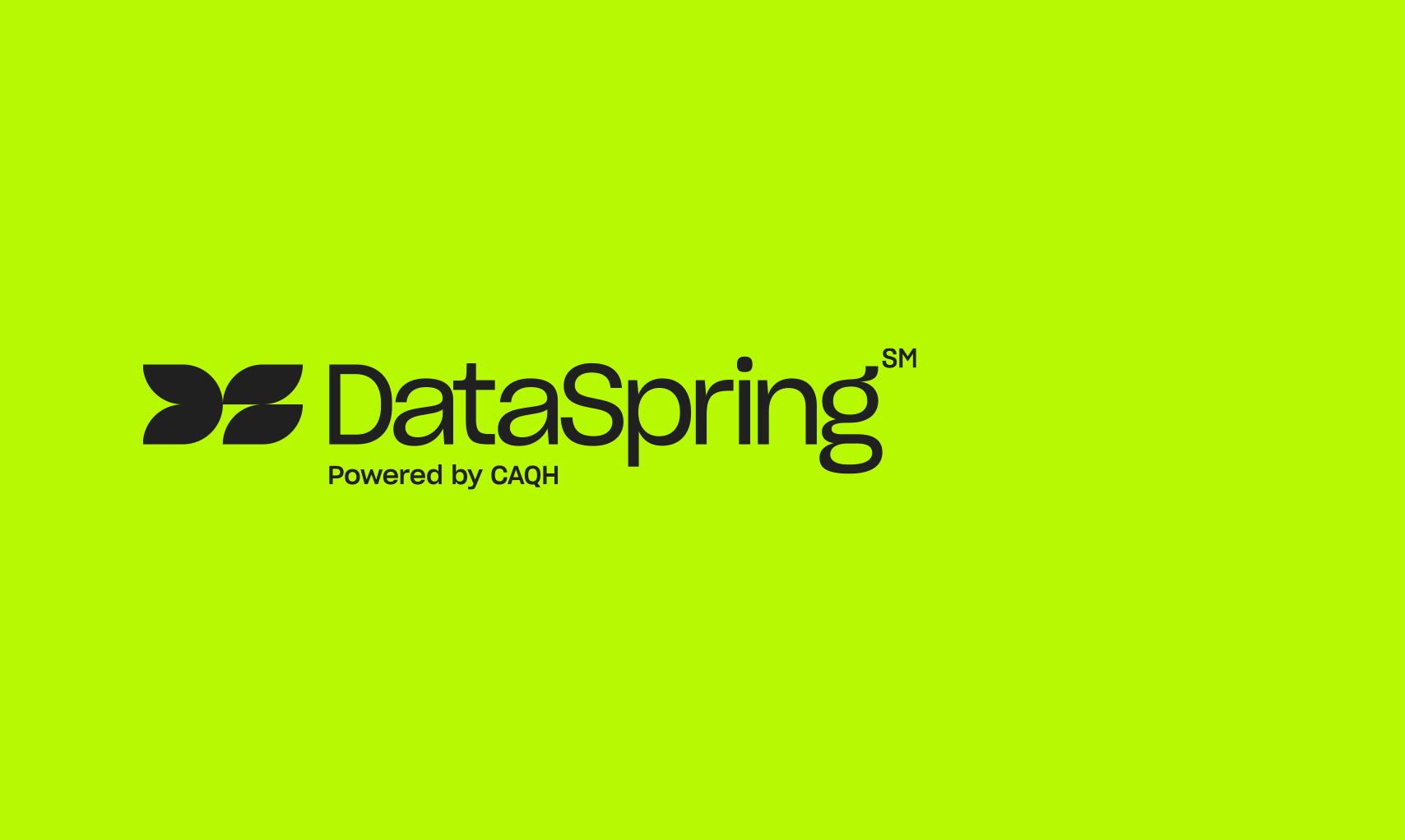 DataSpring Logo in Green