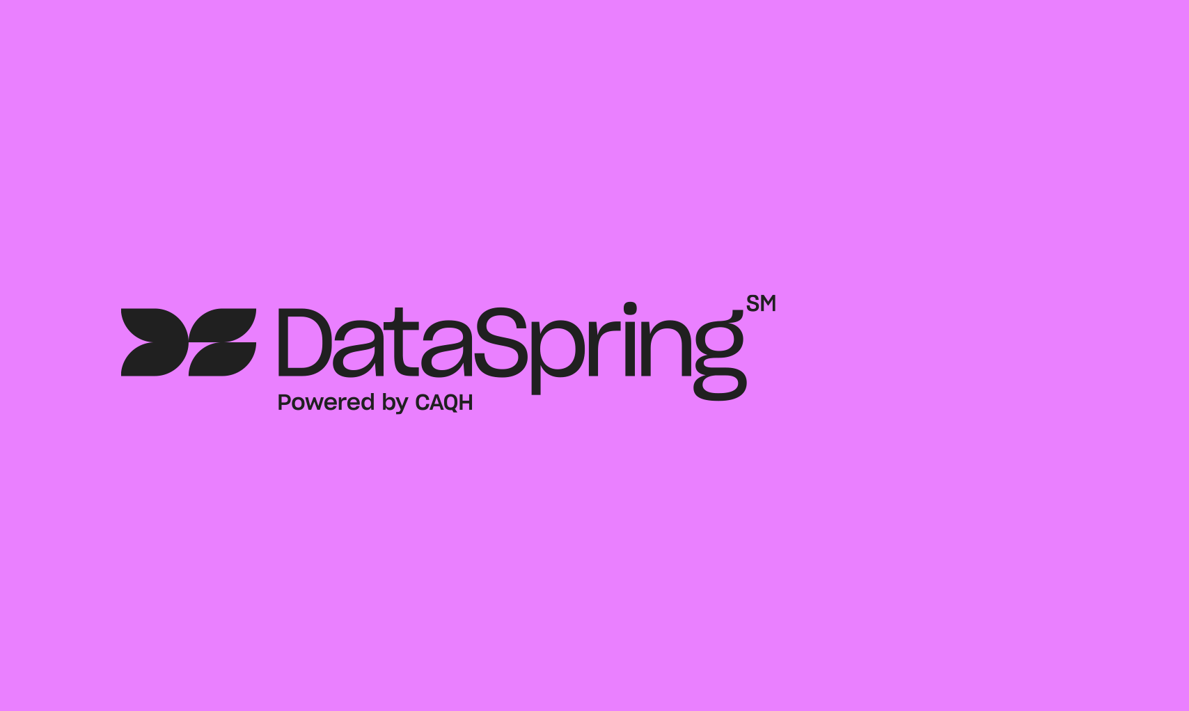 DataSpring Logo on Violet
