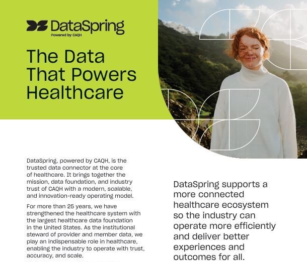DataSpring_Overview